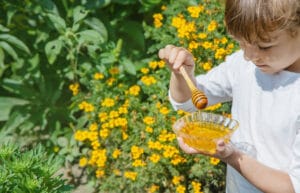 فوائد عسل المانوكا للأطفال